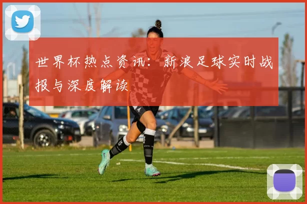 世界杯热点资讯：新浪足球实时战报与深度解读