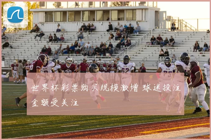 世界杯彩票购买规模激增 球迷投注金额受关注