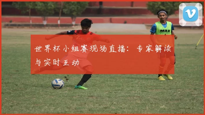 世界杯小组赛现场直播:专家解读与实时互动