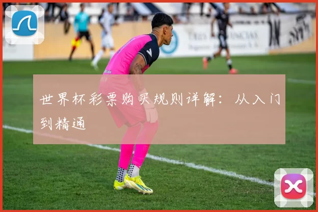 世界杯彩票购买规则详解:从入门到精通