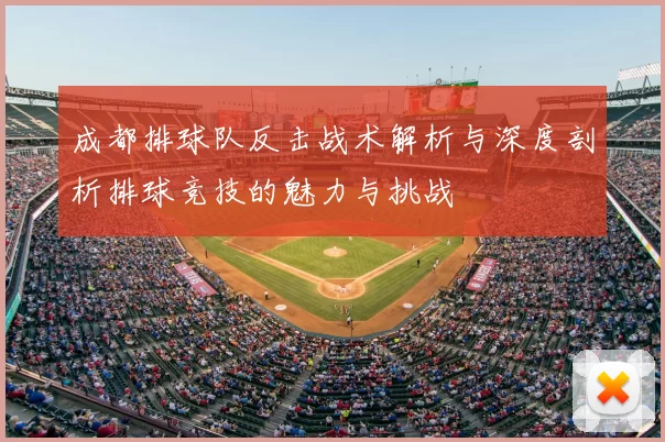 成都排球队反击战术解析与深度剖析排球竞技的魅力与挑战