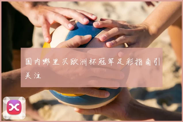 国内哪里买欧洲杯冠军足彩指南引关注