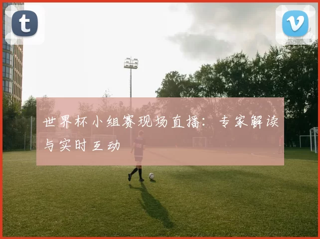 世界杯小组赛现场直播:专家解读与实时互动