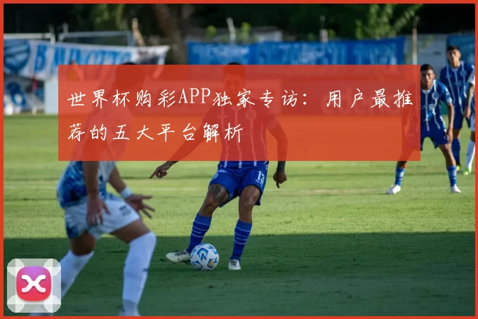 世界杯购彩APP独家专访：用户最推荐的五大平台解析