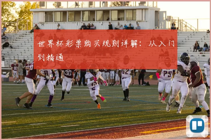 世界杯彩票购买规则详解:从入门到精通