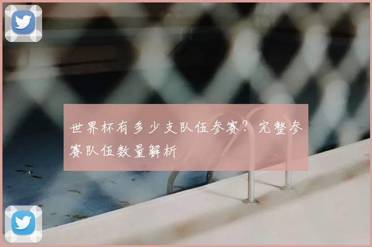 世界杯有多少支队伍参赛?完整参赛队伍数量解析
