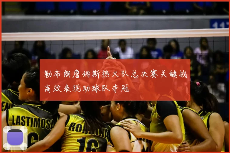 勒布朗詹姆斯热火队总决赛关键战高效表现助球队夺冠