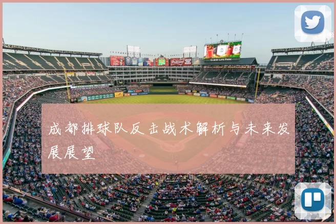 成都排球队反击战术解析与未来发展展望