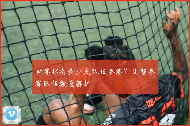 世界杯有多少支队伍参赛?完整参赛队伍数量解析