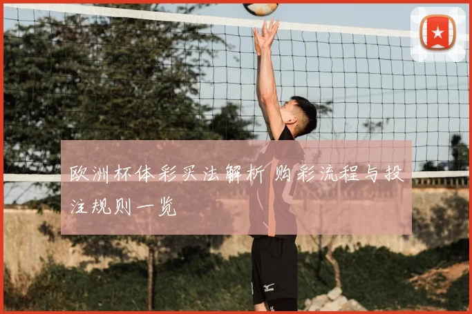 欧洲杯体彩买法解析 购彩流程与投注规则一览