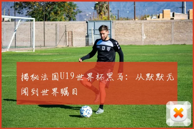 揭秘法国U19世界杯黑马：从默默无闻到世界瞩目