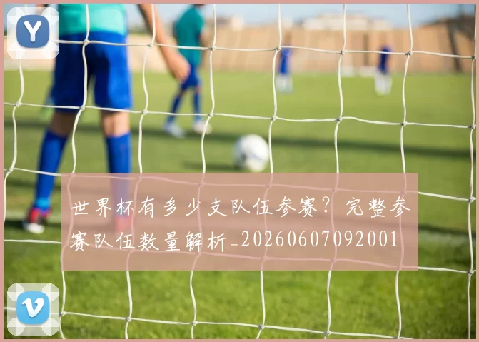 世界杯有多少支队伍参赛?完整参赛队伍数量解析_20260607092001